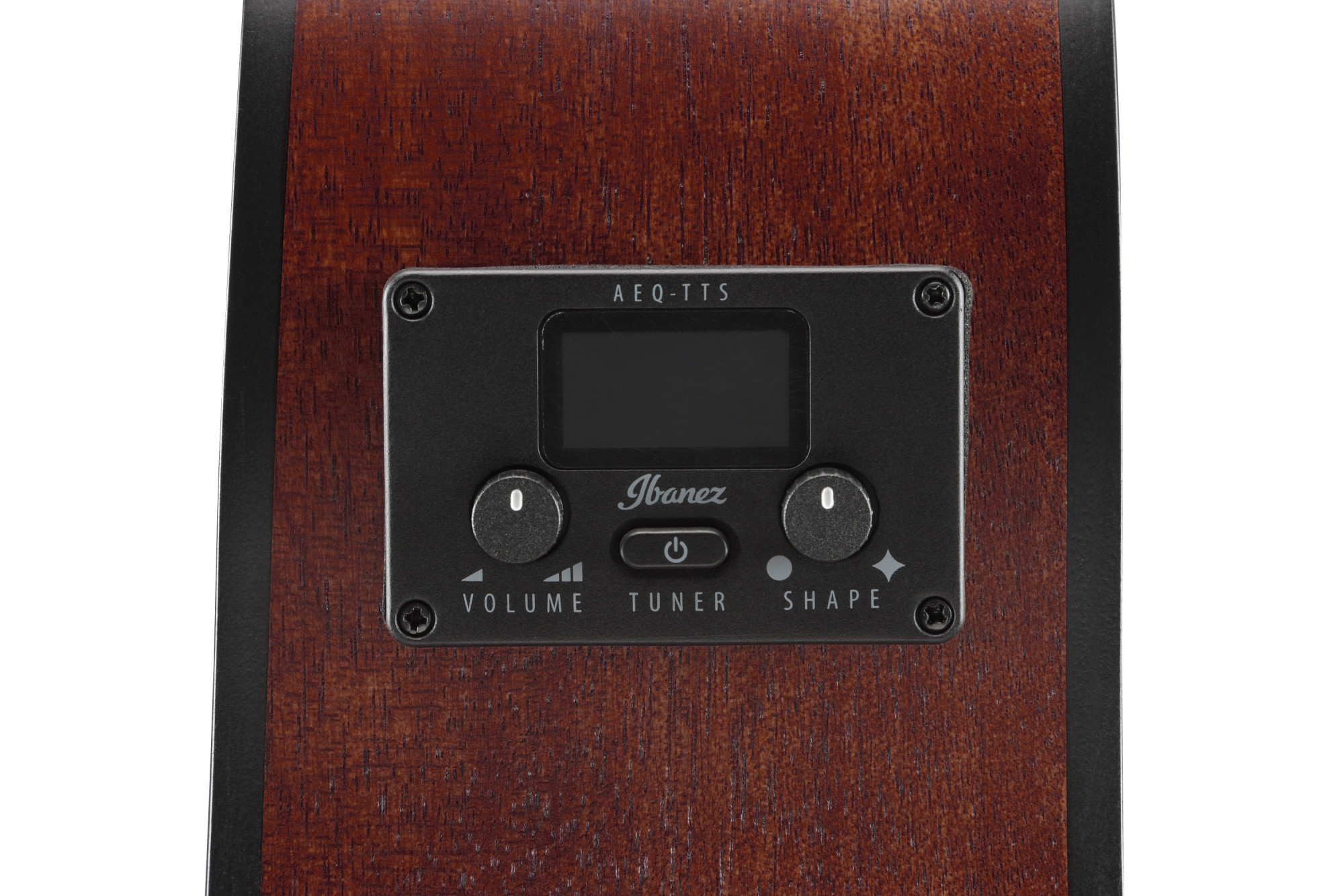 Ibanez AEG50-BAM