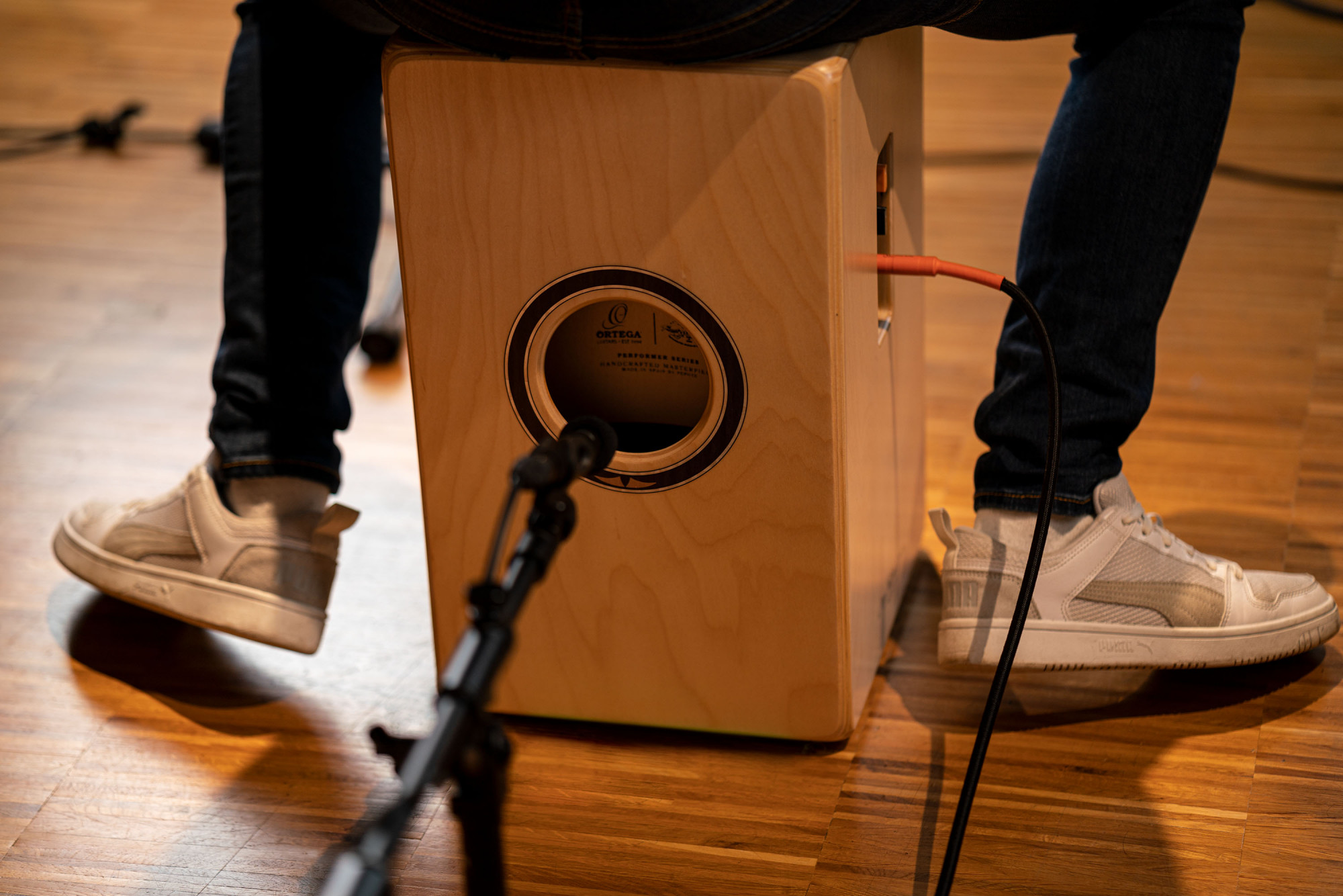 Ortega OCJPF-2 Cajon
