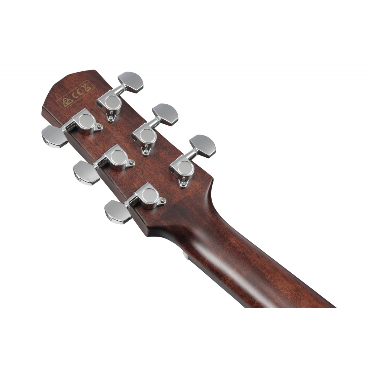 Ibanez AAD170LCE-LGS Advanced