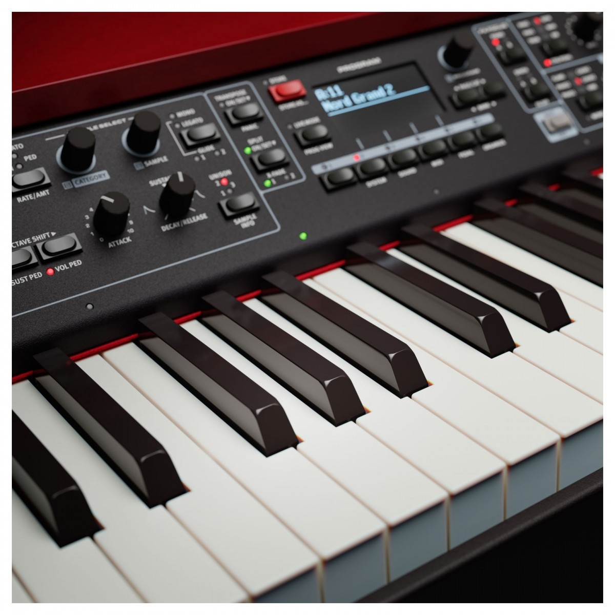 Nord Grand 2.4