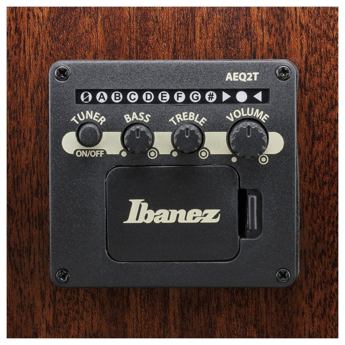 Ibanez AEWC16QA-TKH