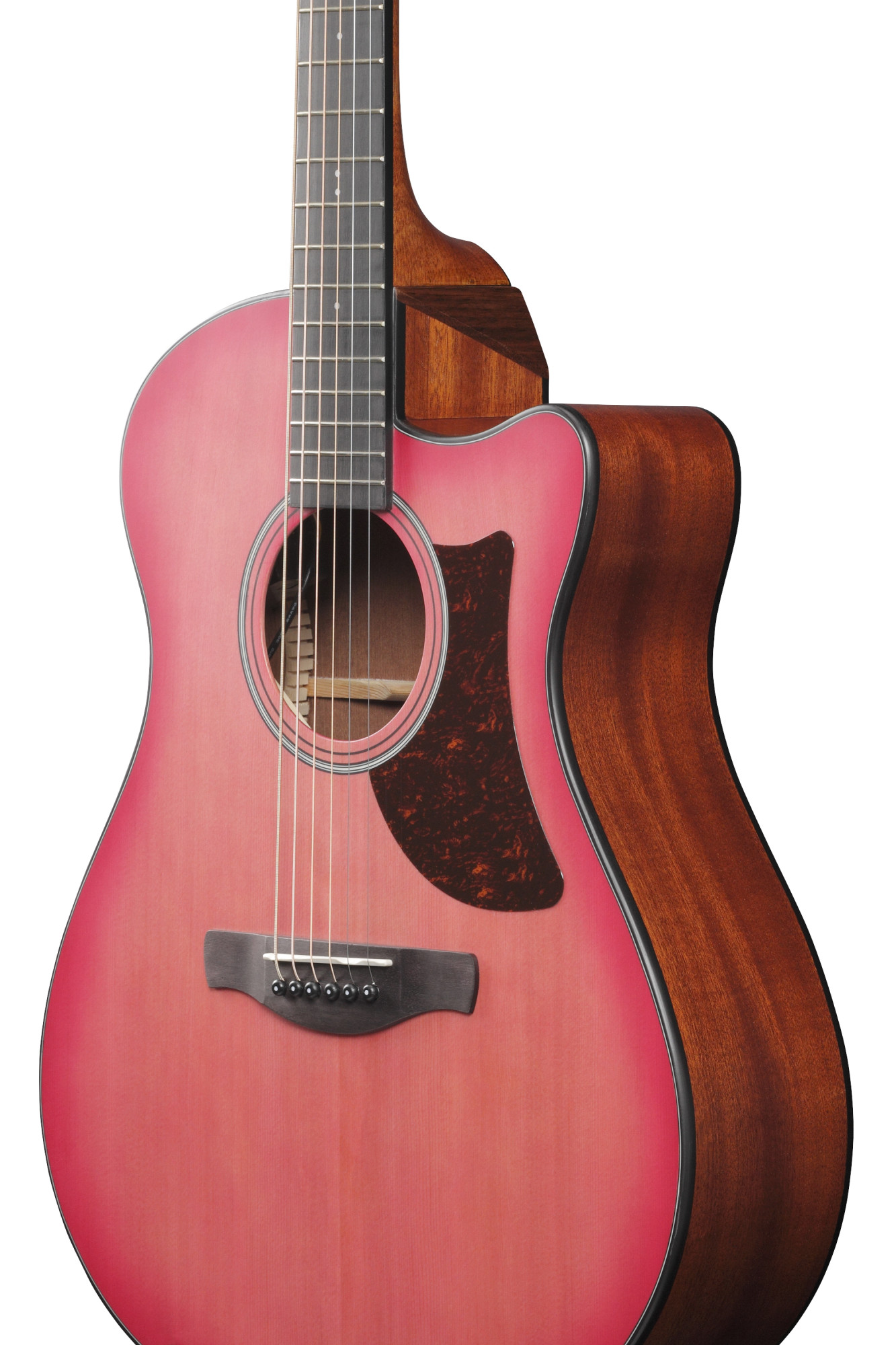 Ibanez AAM50CE-CRO