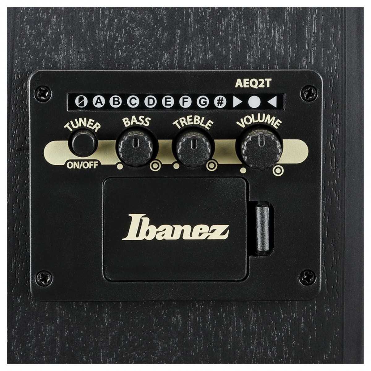 Ibanez TCY621-BOT