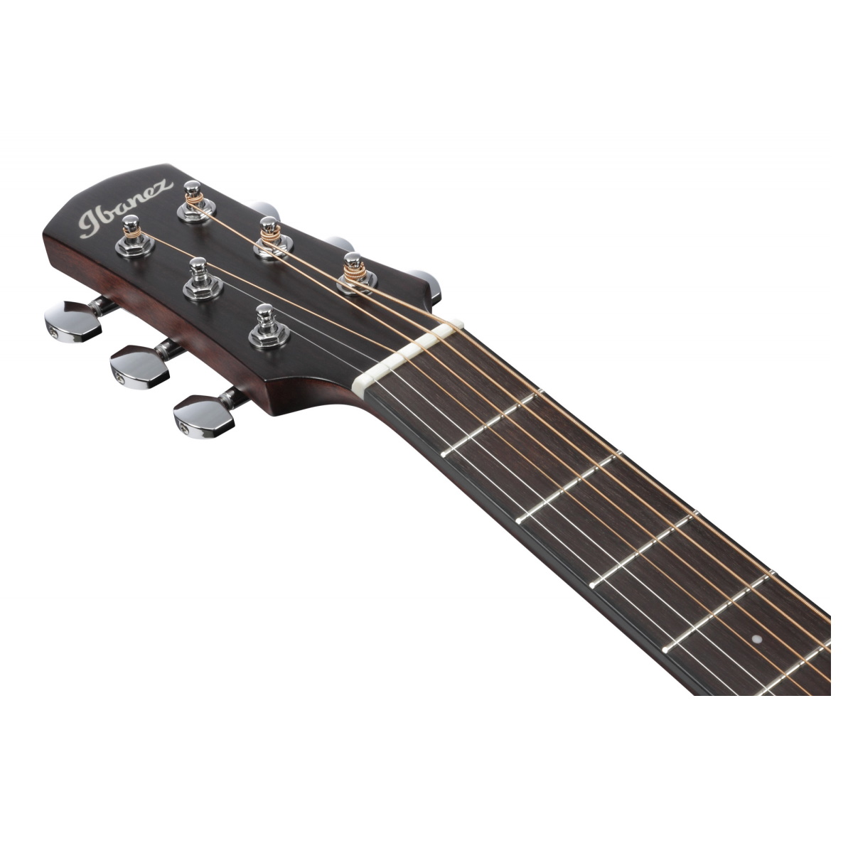 Ibanez AAD170LCE-LGS Advanced