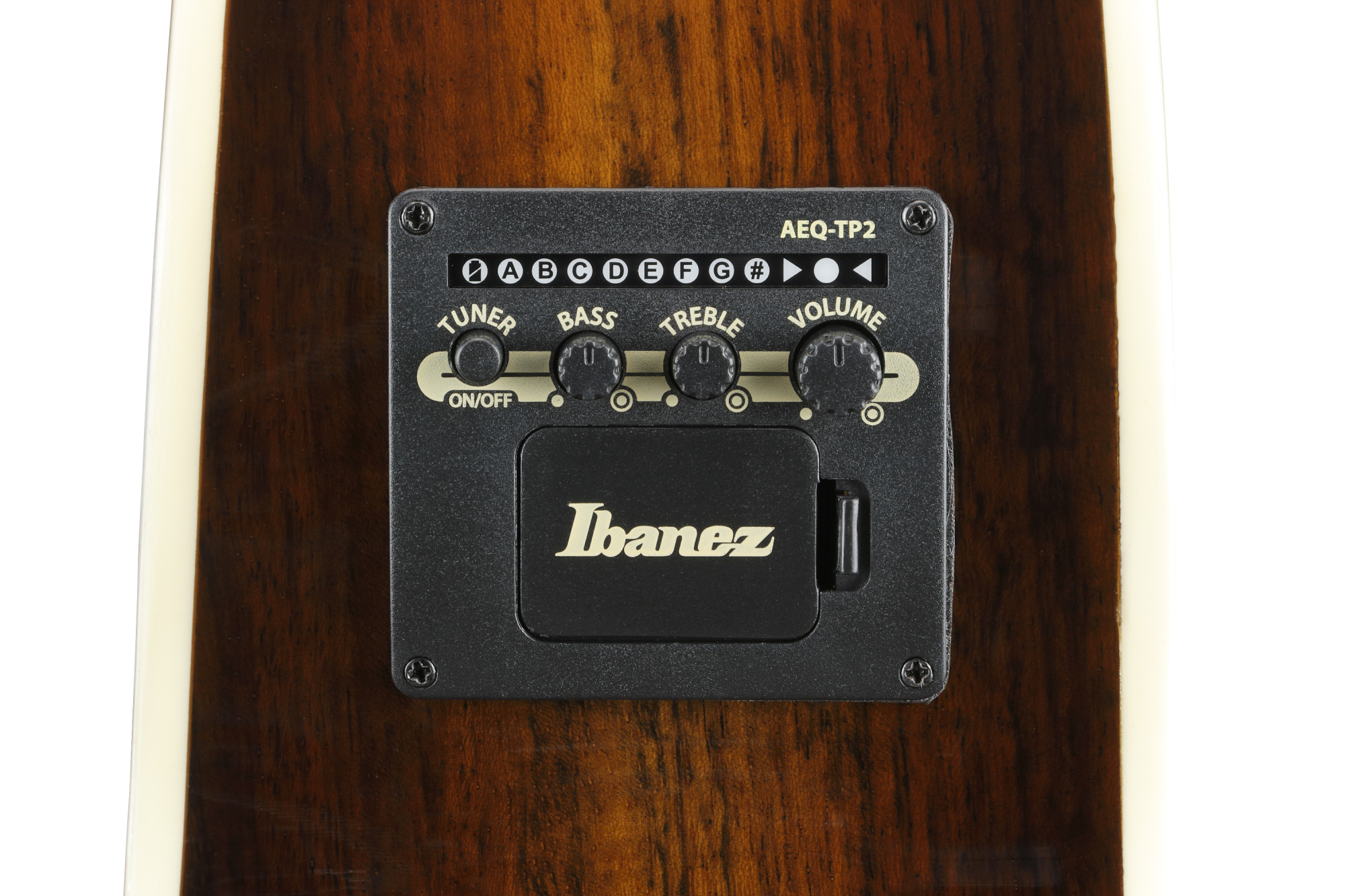 Ibanez AE160-VMS
