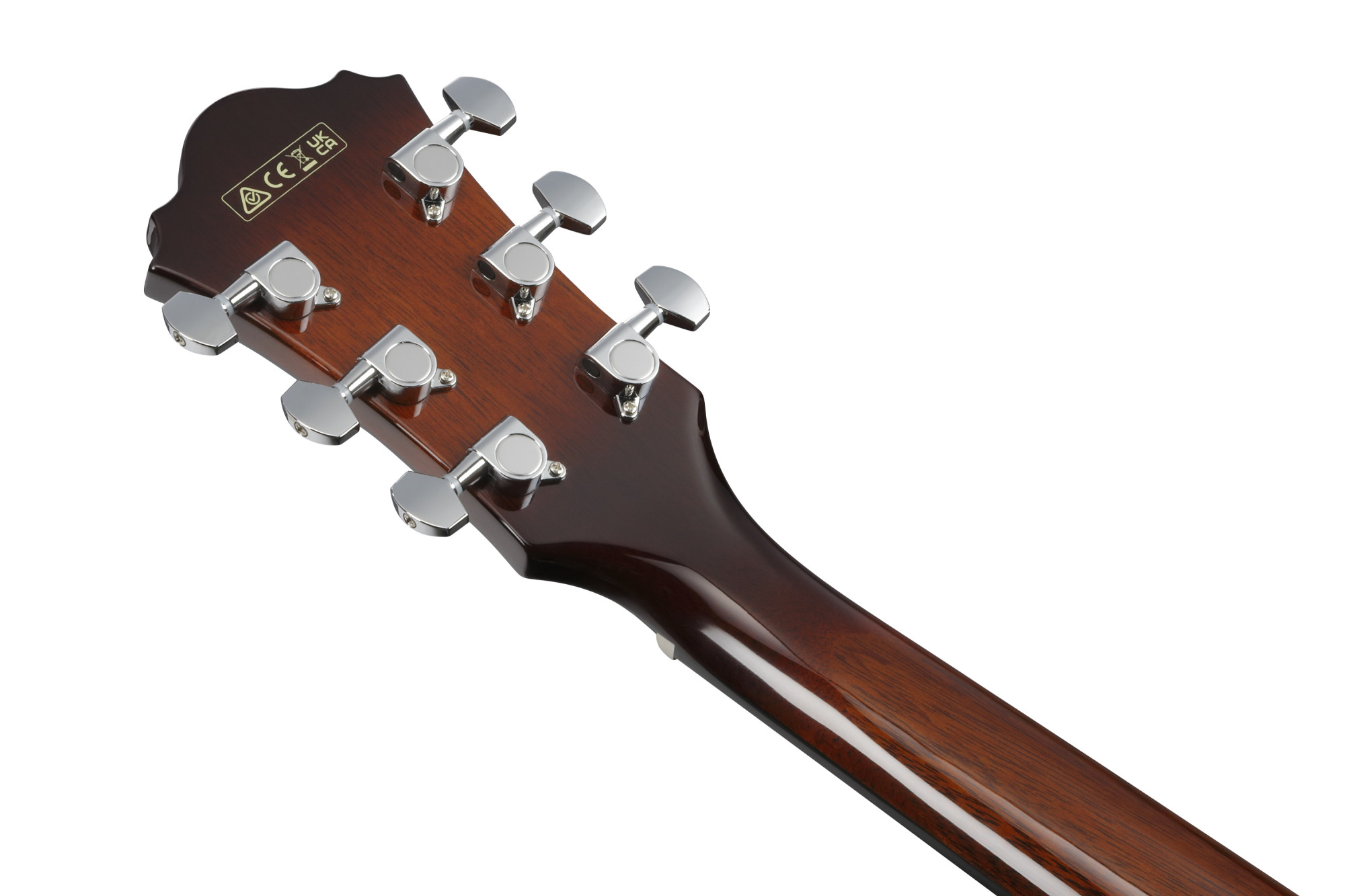Ibanez AE160-VMS