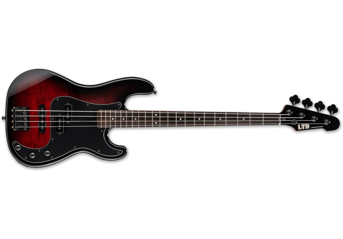 ESP LTD Surveyor-204DX RB