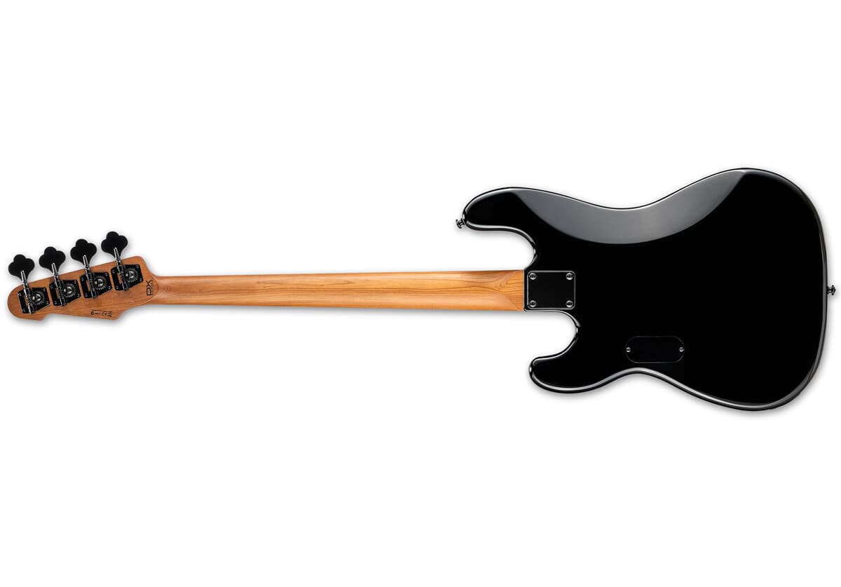 ESP LTD Surveyor-204DX BB