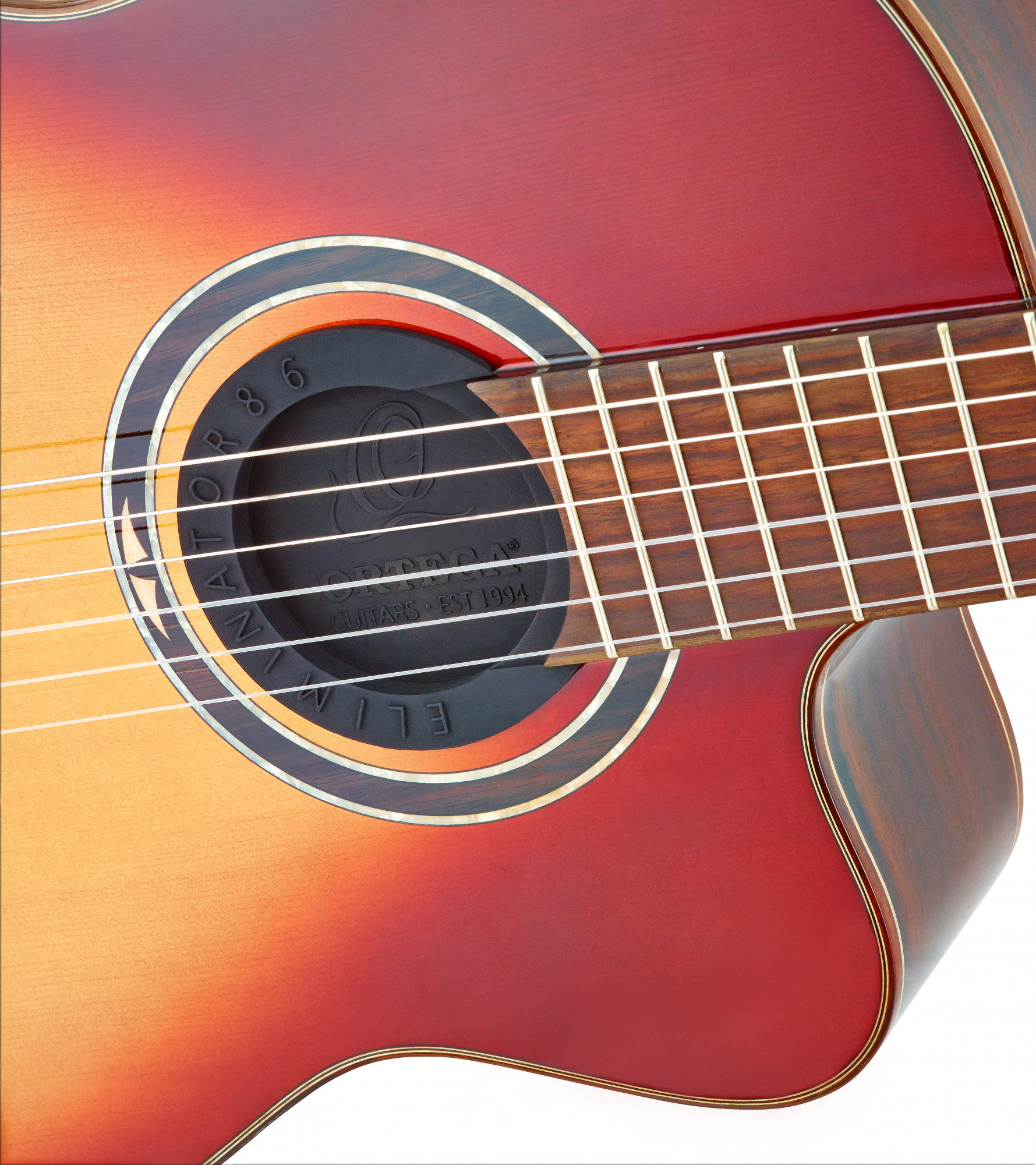 Ortega ELIMINATOR100 Feedback Eliminator