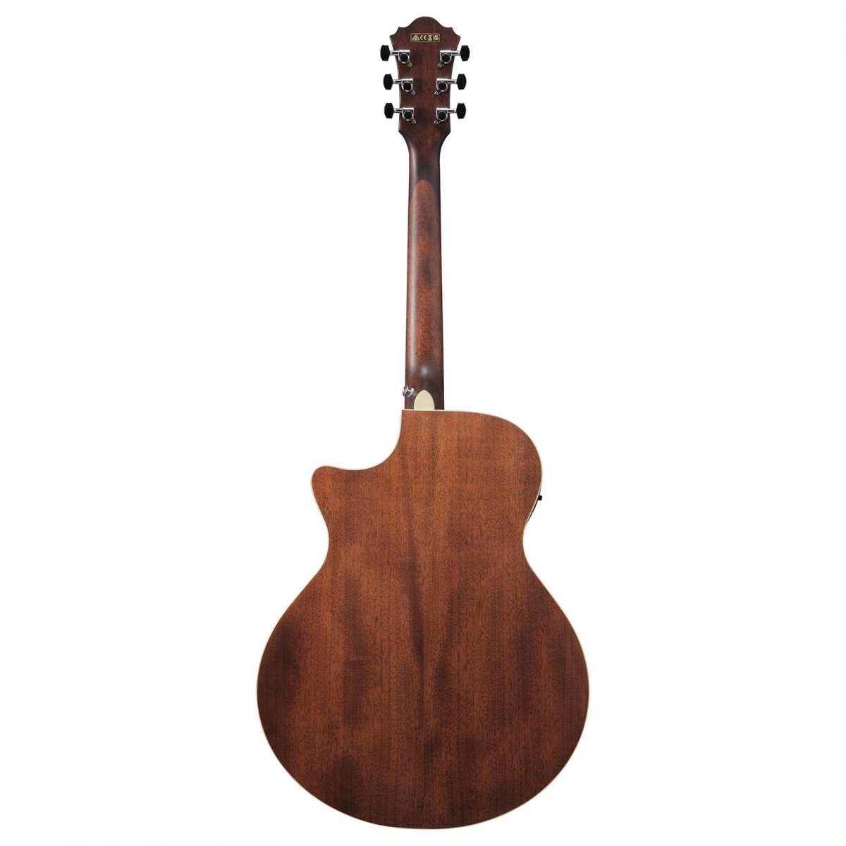 Ibanez AE100-DBF