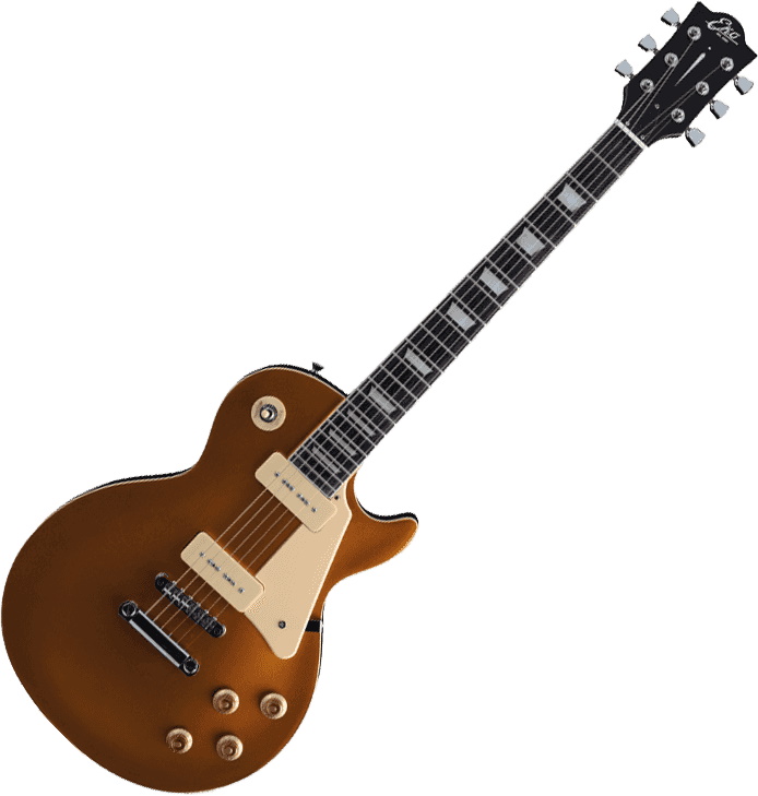 Eko Guitars VL480-GTV
