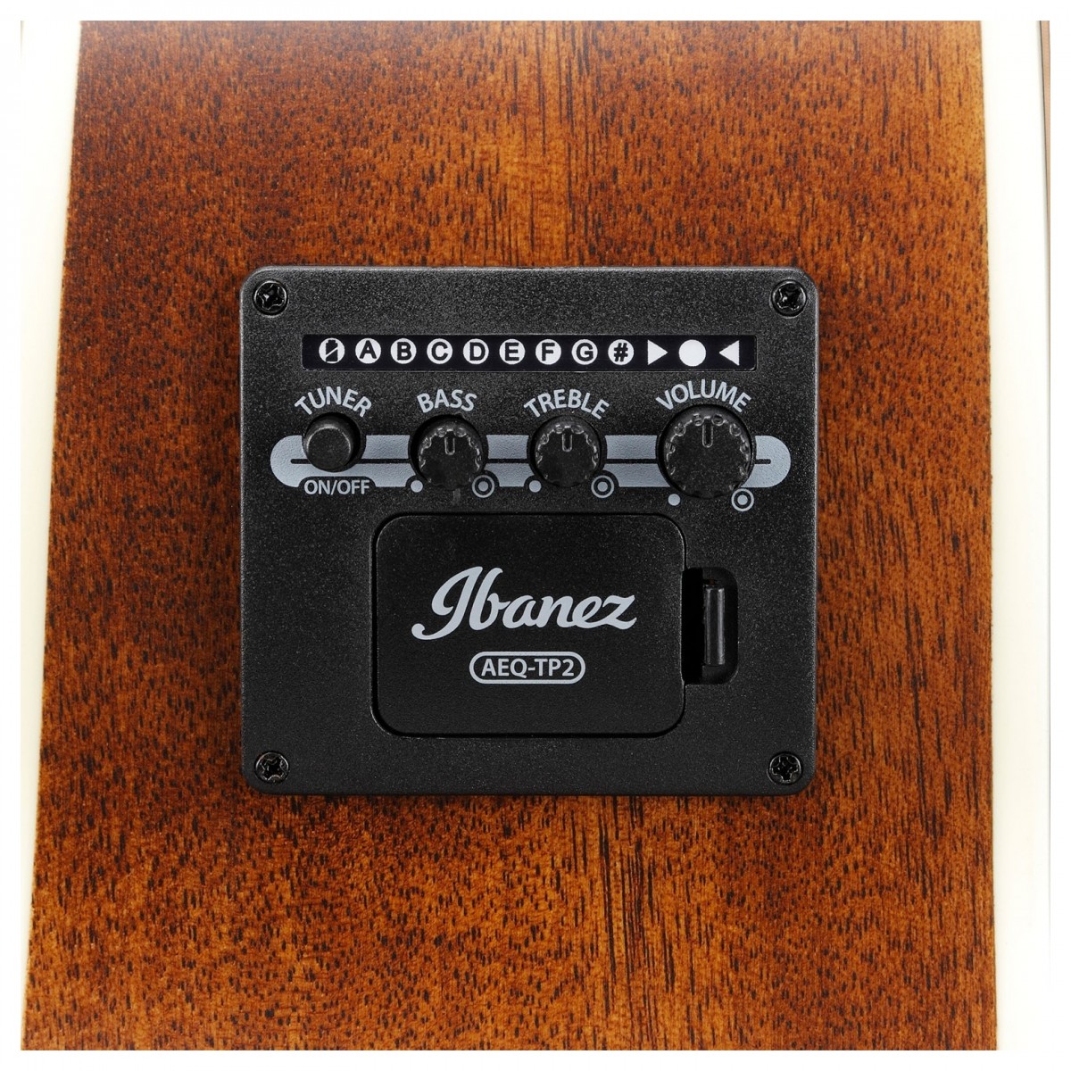 Ibanez AE100-BUF