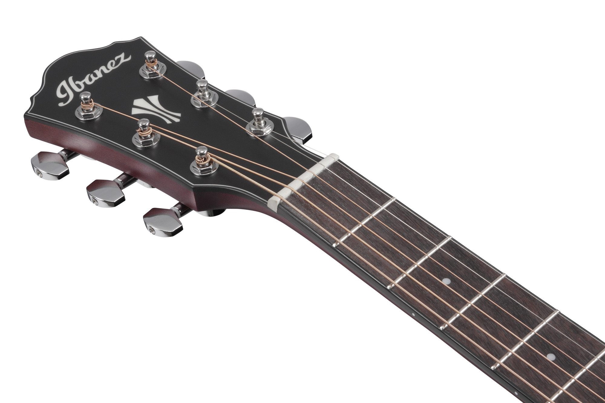 Ibanez AEG50-BAM