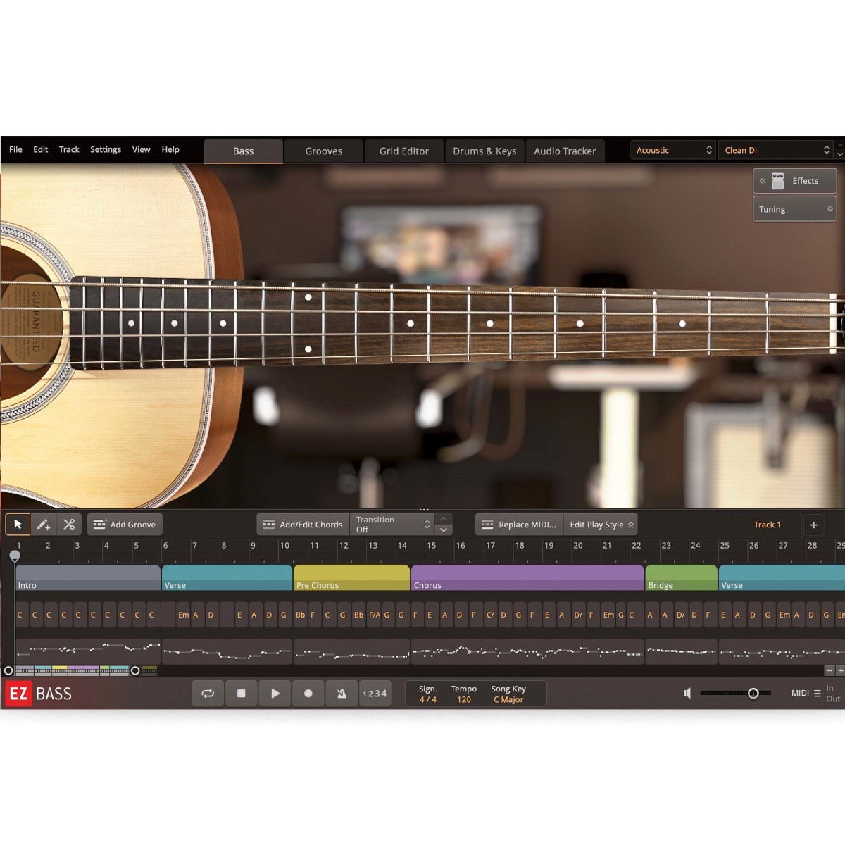 Toontrack EBX Acoustic Bass