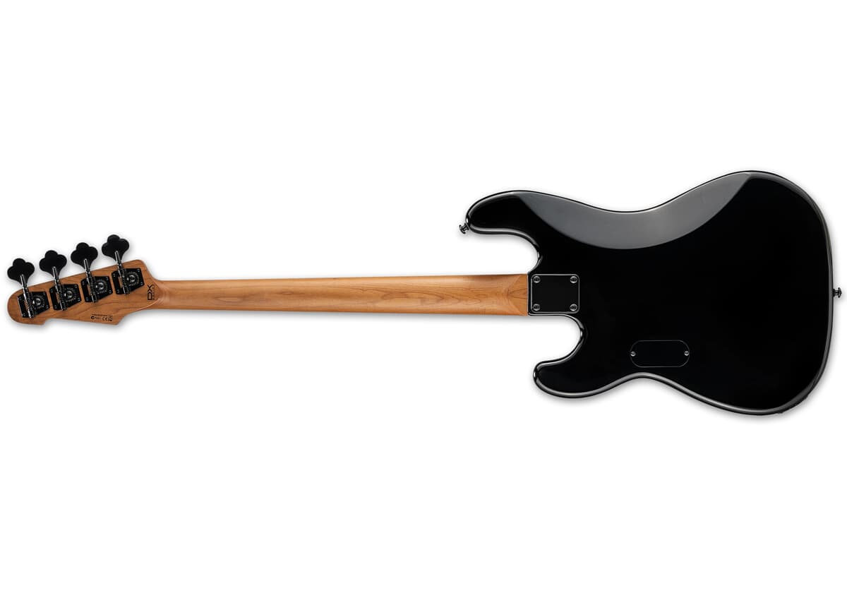 ESP LTD Surveyor-204DX RB