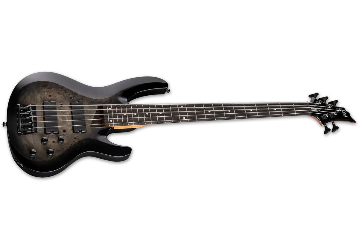 ESP B-205DX BB
