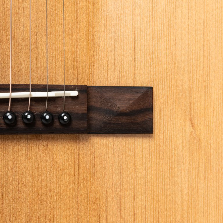 Stagg SA45 D-LW Westerngitarre