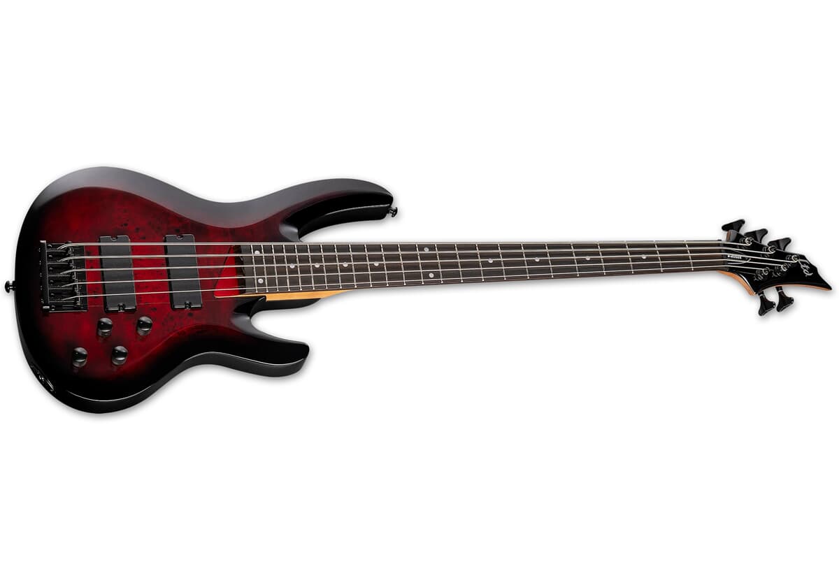 ESP LTD B-205DX RB