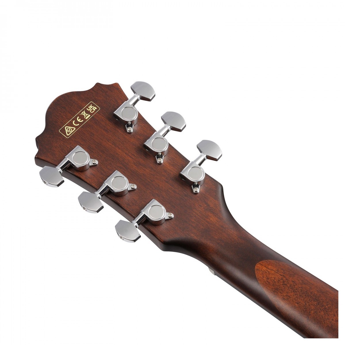 Ibanez AE100-DBF