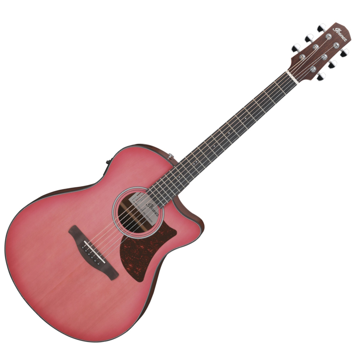 Ibanez AAM50CE-CRO