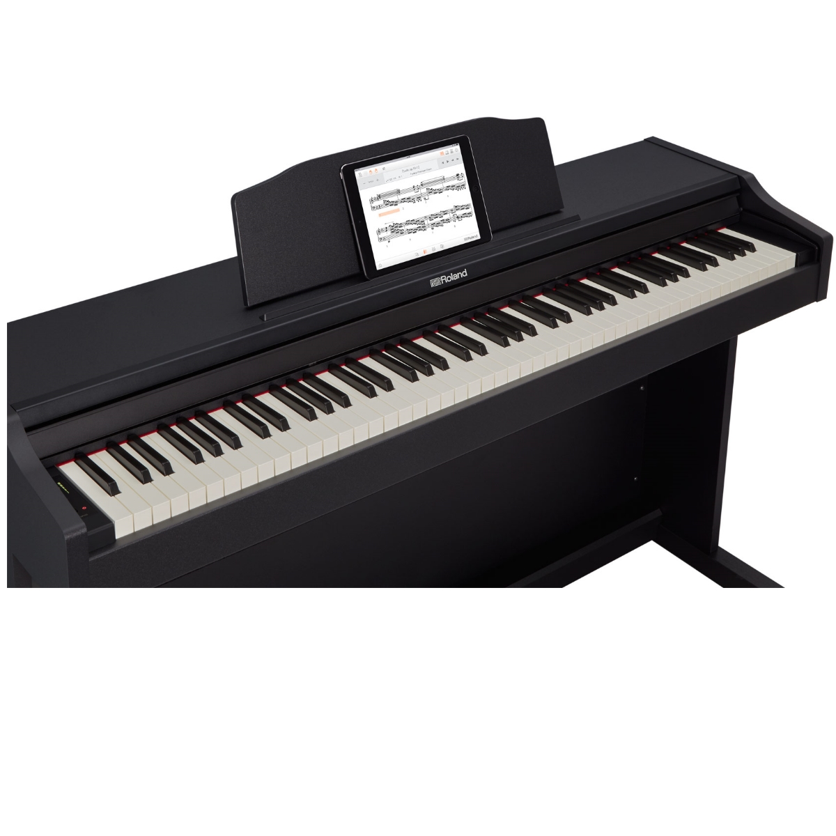 Roland RP102-BK