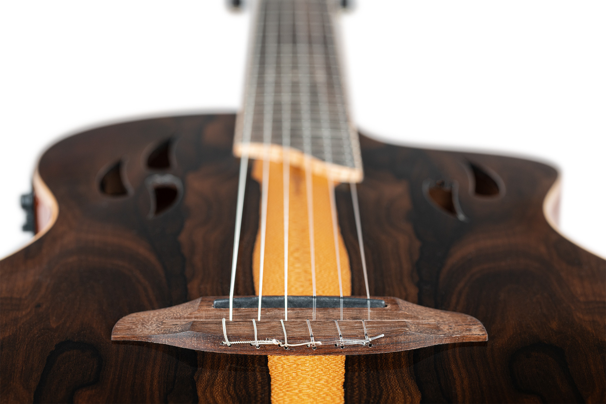 Ortega RTP-LTD Tourplayer